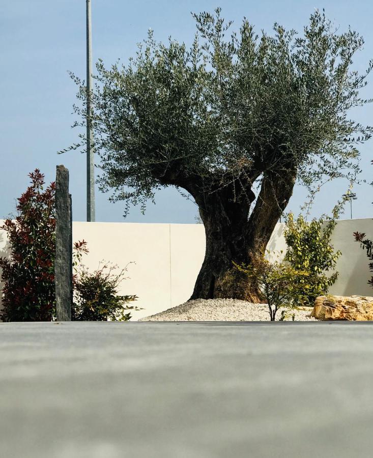 L'Oasis Vendargues Bed and Breakfast Εξωτερικό φωτογραφία