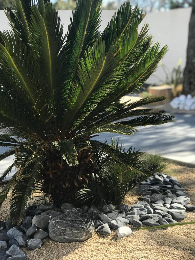 L'Oasis Vendargues Bed and Breakfast Εξωτερικό φωτογραφία