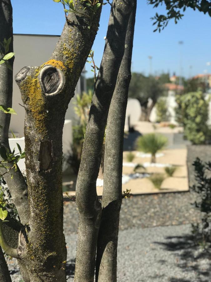 L'Oasis Vendargues Bed and Breakfast Εξωτερικό φωτογραφία